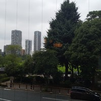 鰻割烹 伊豆栄 本店 - 