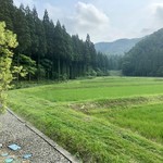 農口尚彦研究所　杜庵 - 酒米の五百万石の田んぼ