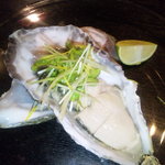 ｍｉｔｒａ⇒mitra - 生牡蠣