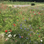 ヴィラデスト ガーデンファーム アンド ワイナリー - 天国