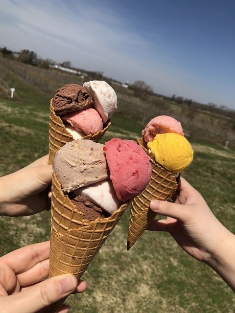 MIRTILLO, Sapporo, Japan