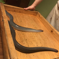 日本料理 梅林 - 