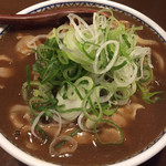 昼飯晩飯 でら - 肉カレー南蛮うどん700円