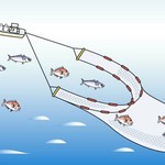 はれるや - これが「ごち網漁」ってやつです。