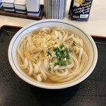 手打うどん 長谷沼 - ［2019/06］かけうどん・中(600円)