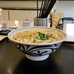 手打うどん 長谷沼 - ［2019/06］かけうどん・中(600円)