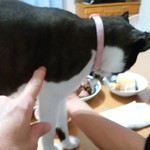 ヤオヨシ - 食べてみた