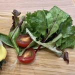 スウェル ボウルズ - トーフ・ベネディクト