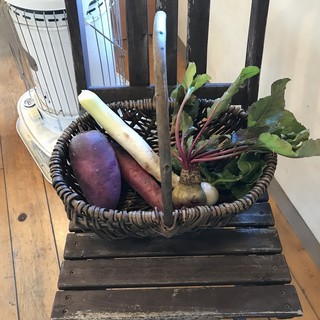 ベジモア ガーデン_2