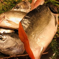 魚めし 竹亭 - 選べます　焼きか煮付け