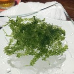 taachi - 海ぶどう