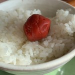 ホテルキャッスルプラザ - ザ・梅干し！
