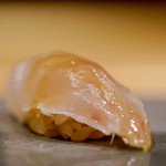 鮨 猪股 - 白甘鯛