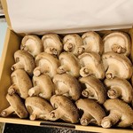 酒 肴 サカツヤ - 料理写真:サカツヤ自慢‼肉厚な能登っこしいたけ