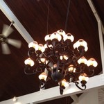 ドッグデプトガーデン - 