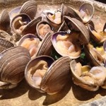 かきと旬鮮料理とおそば 開 - 厚岸 活アサリの生食