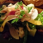 湯島ワイン食堂 パパン - パパンのサラダ～有機野菜と鴨のフォアグラ