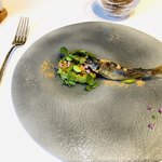 イル プレージョ - 