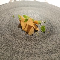 ジョンティ アッシュ - 