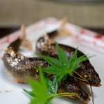 かたつむり - 2019.6 天然和良鮎塩焼き