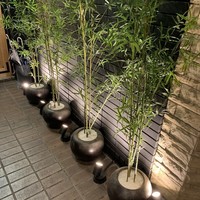しゃぶしゃぶ・創作料理居酒屋 豚吟 栄店 - 