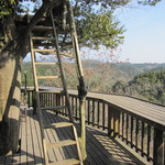 Tenkuu No Mori - 木に掛けられている梯子、上にお昼寝場所が