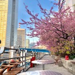 Lounge CRIB - 春は桜を眺めながらBBQ