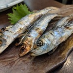 旬魚菜 しら川 - 