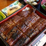 Sumibiyaki Unagi Higashiyama Bussan - 