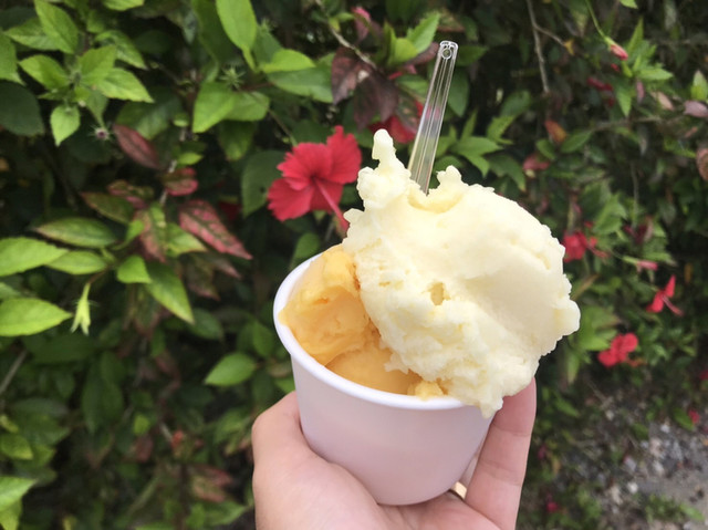 石垣島フルーツランド 石垣市 ジュースバー 食べログ 石垣島フルーツランド 石垣市 ジュースバー 食べログ