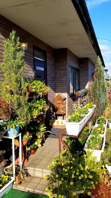 スイートピーの日記 - かみのやま温泉（喫茶店）の写真