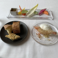 サーラ アマービレ - 