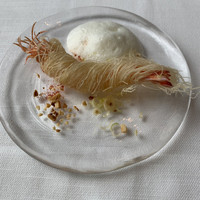 サーラ アマービレ - 