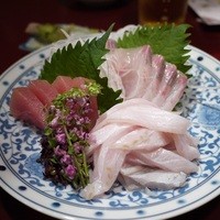 長崎卓袱浜勝 - 平寿、梶木、太刀魚