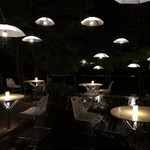 Sekirei Bashi Kawakami An