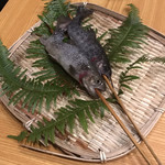 Gokigen San