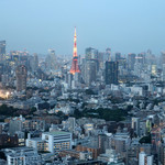 LUCIS GARDEN - 東京タワーのアップ