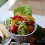 円 - だし巻き　野菜サラダ