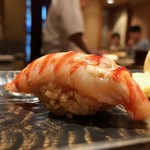 鮨 とかみ - 2019.5.  車海老