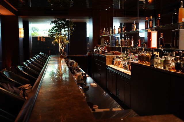 Main Bar DA VINCI photo 5