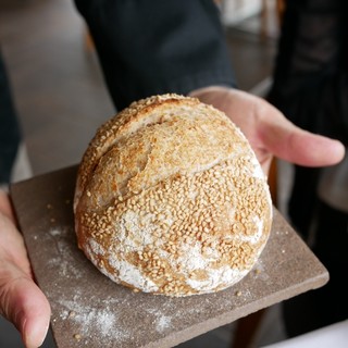 レストラン ビオス_1