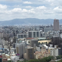 ジャスミンガーデン - 店内からの景観