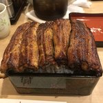 うなぎ 和友 - 鰻重 ご飯多め＋¥50