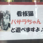 洋風家庭料理 はやちゃんち - 店内に看板猫ちゃんいます。