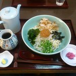 うどん処 杉 - 【2011年12月】　ぶっかけ梅じまん＠800円。