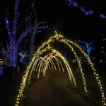 アル マンドリーノ - すぐ近くのイルミネーション