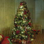 アル マンドリーノ - お店の入口前のクリスマスツリー