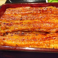 うなぎ 目白ぞろ芽 - 
