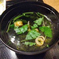 うなぎ 目白ぞろ芽 - 