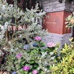 エル・バウ・デコラシオン - お店の看板の前はたくさんのお花が生い茂り♡